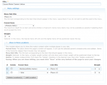 NodeSymlinks screenshot - integration in the menu settings form